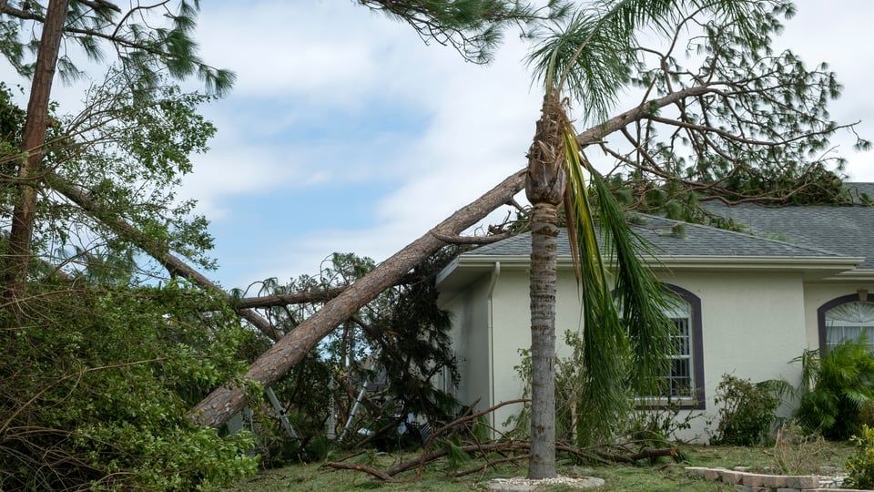 Hurricane Power Outage Preparation Guide