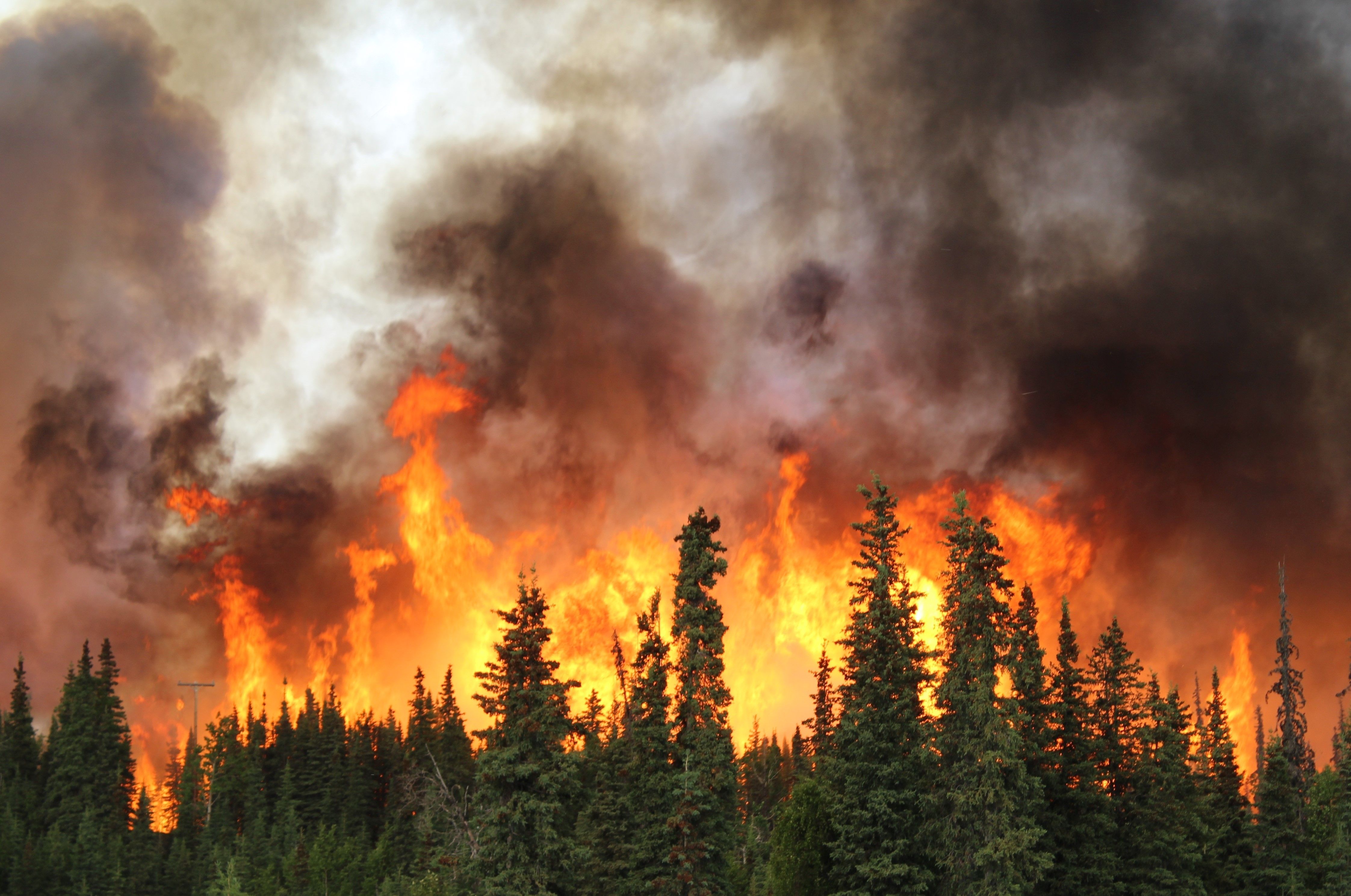 Wildfire Power Outage Preparation Guide