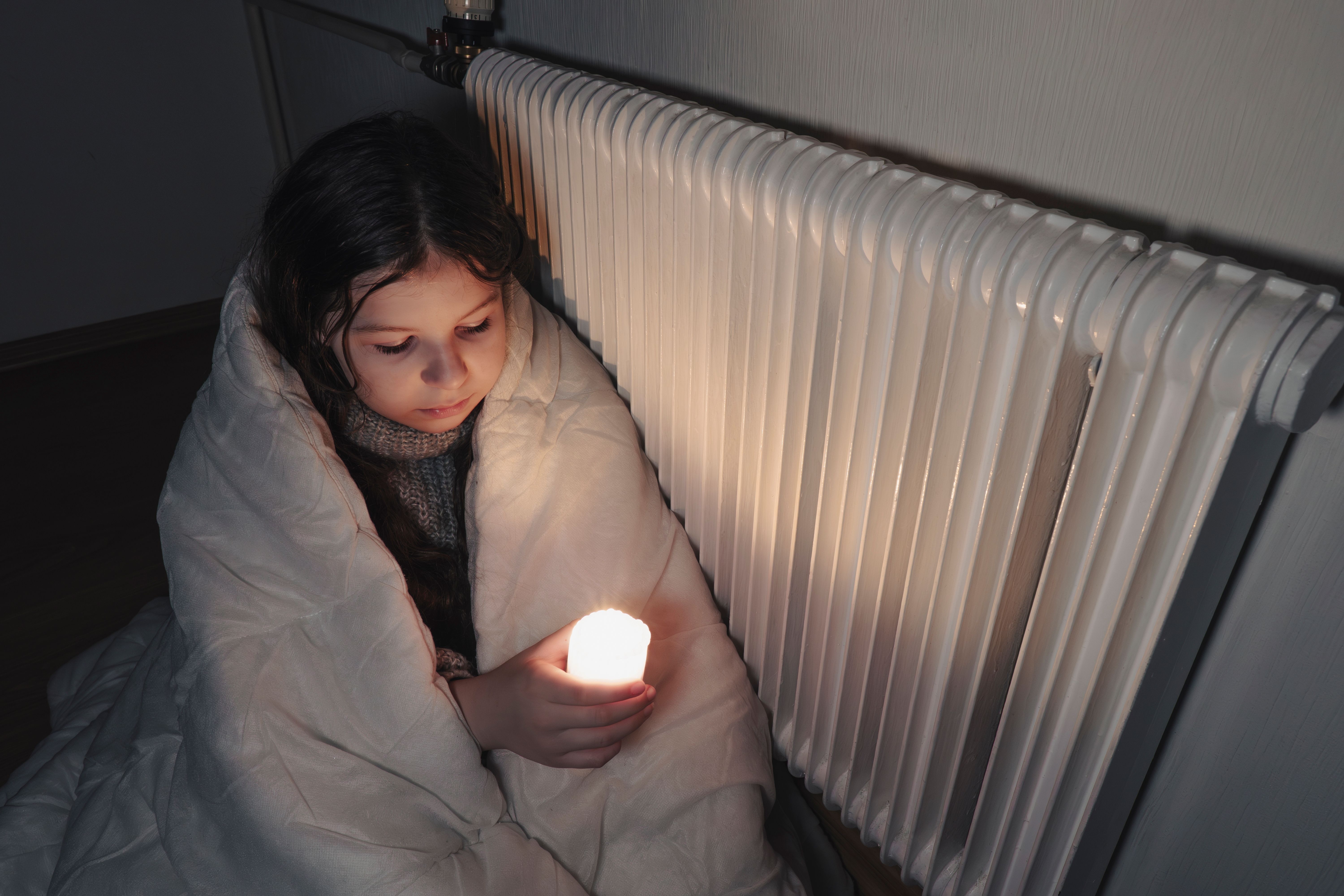 Winter Storm Power Outage Preparation Guide